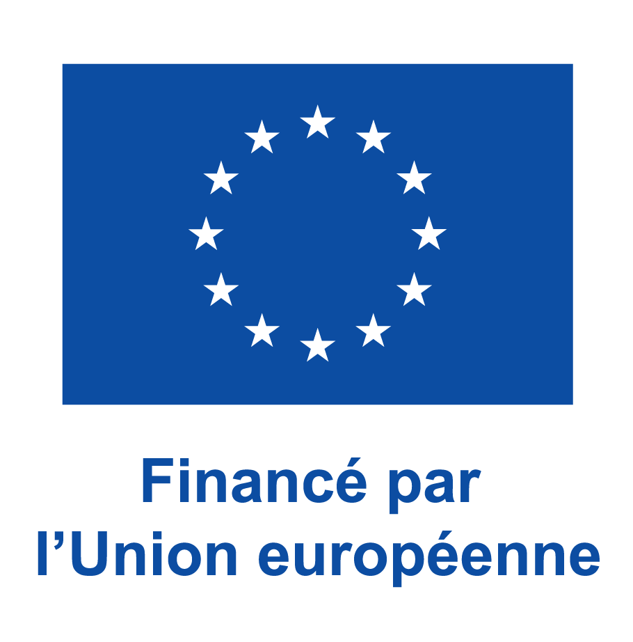 L'image montre le drapeau de l'Union européenne avec le texte "Financé par l'Union européenne" en dessous.